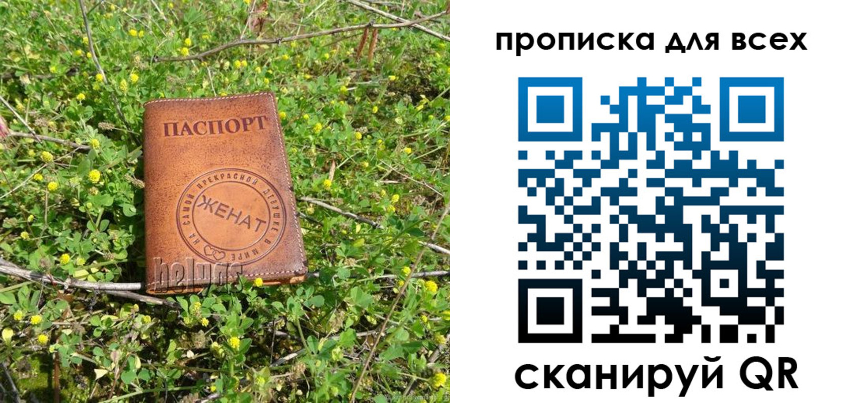 прописка поиск в Краснозаводске